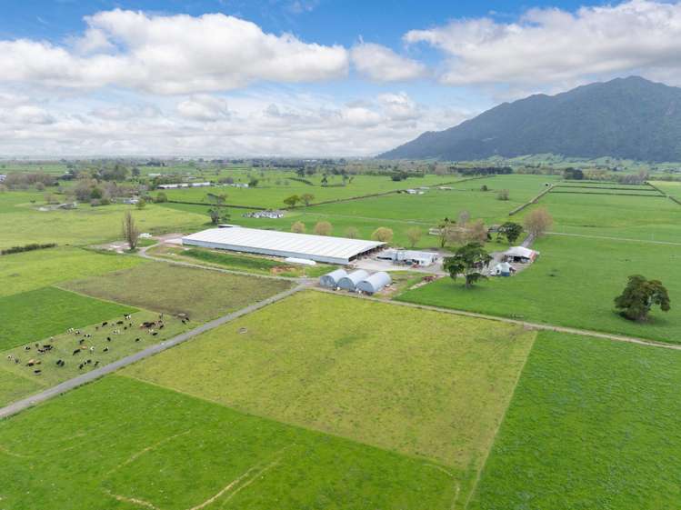 McKinley Road Te Aroha_9