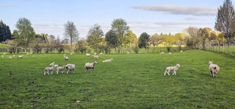 94 Oturoa Road Hamurana_7