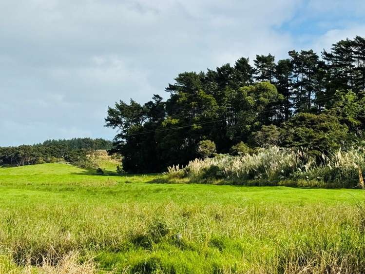 Lot 1/3233 State Highway 1 Pukenui_11
