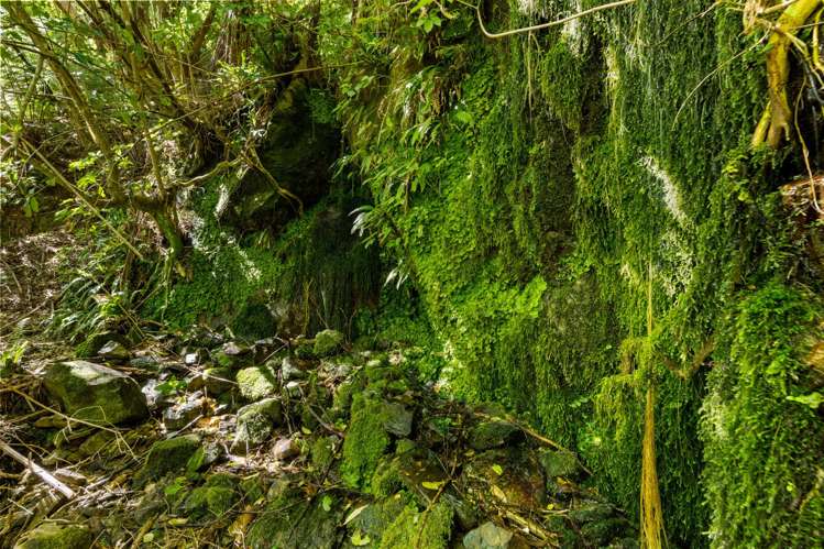 243 Boons Valley Road Waikawa_25