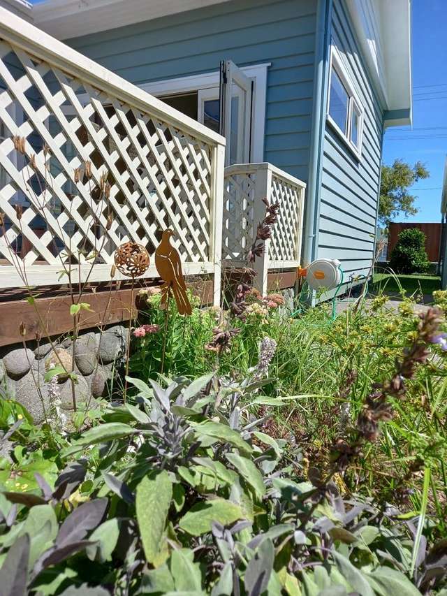 155 Regan Street Stratford_3