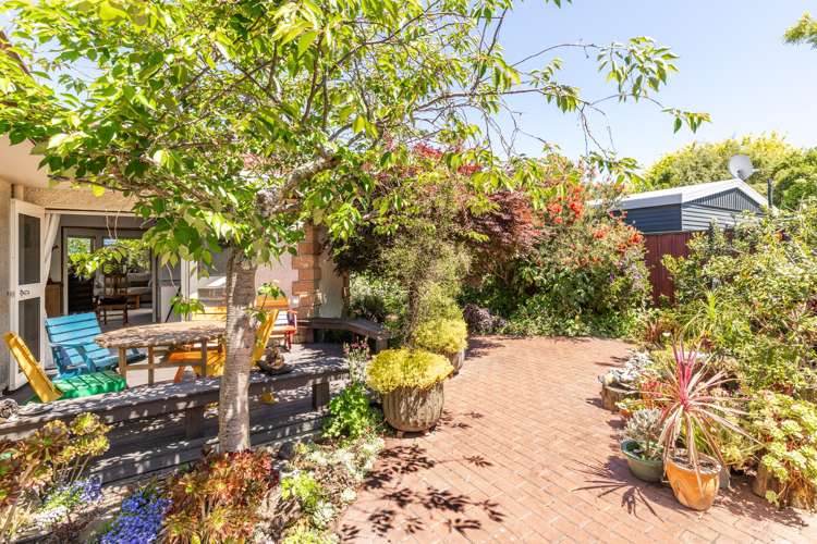 153B Auckland Road Greenmeadows_22