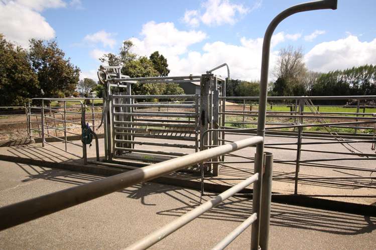 664 Te Pua Road Kaikohe_9