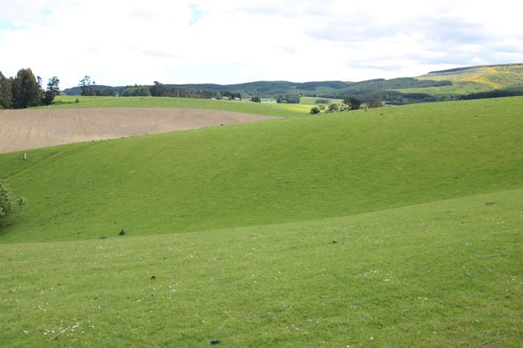 7 Abram Road Gore Surrounds_6