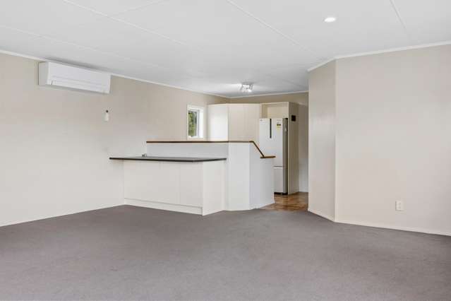 50 Taupo View Road Central_4