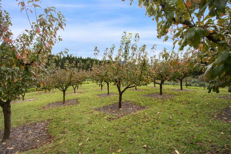 110 Tuapiro Road Hauraki Surrounds_17