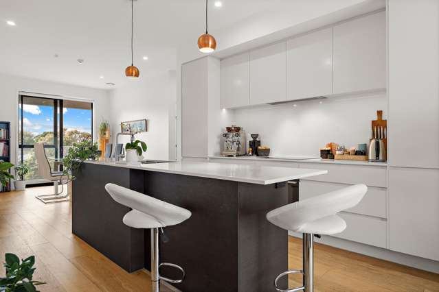 107/987 Mount Eden Road Three Kings_1