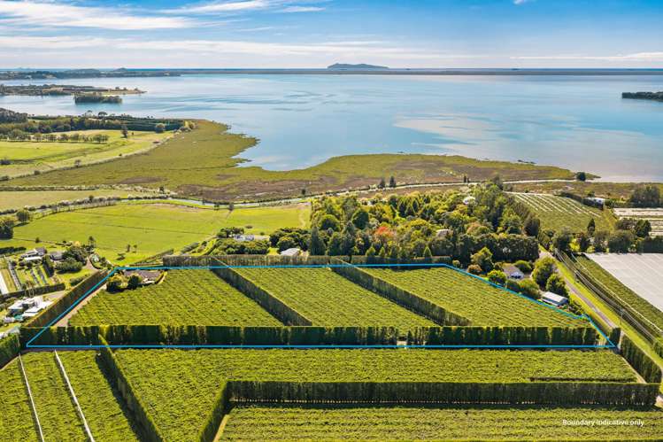 249 Walker Road East Aongatete_1