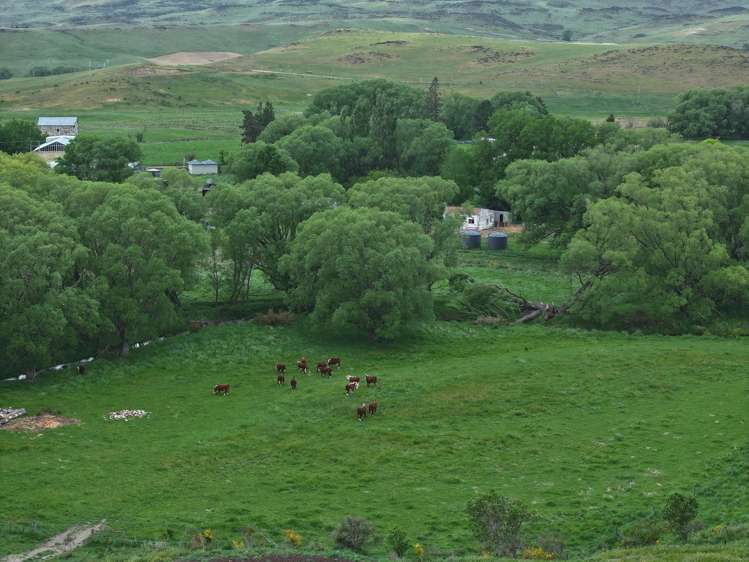 School Road Waipiata_7