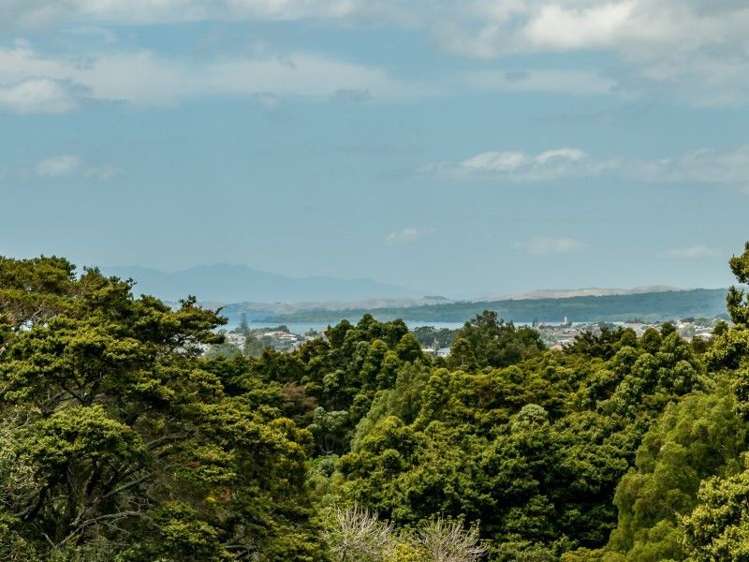 7/1b Birkenhead Avenue Birkenhead_24