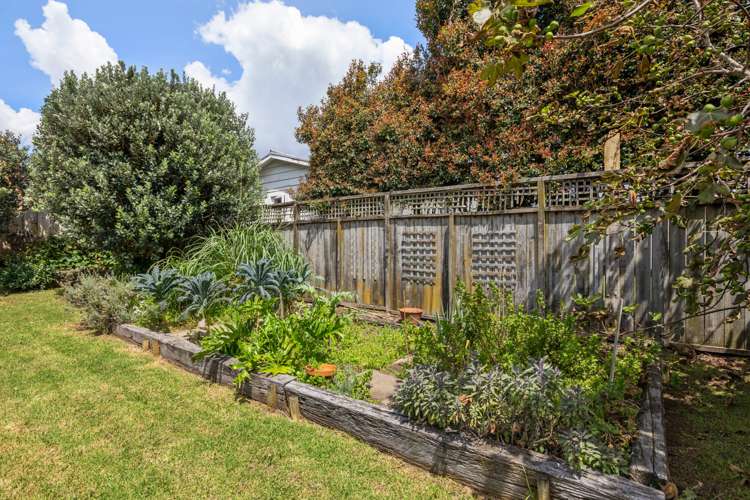 40 King Edward Street Mount Eden_5