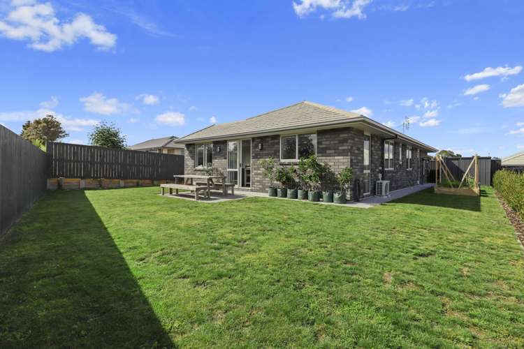 102 Sentinel Avenue Omokoroa_14