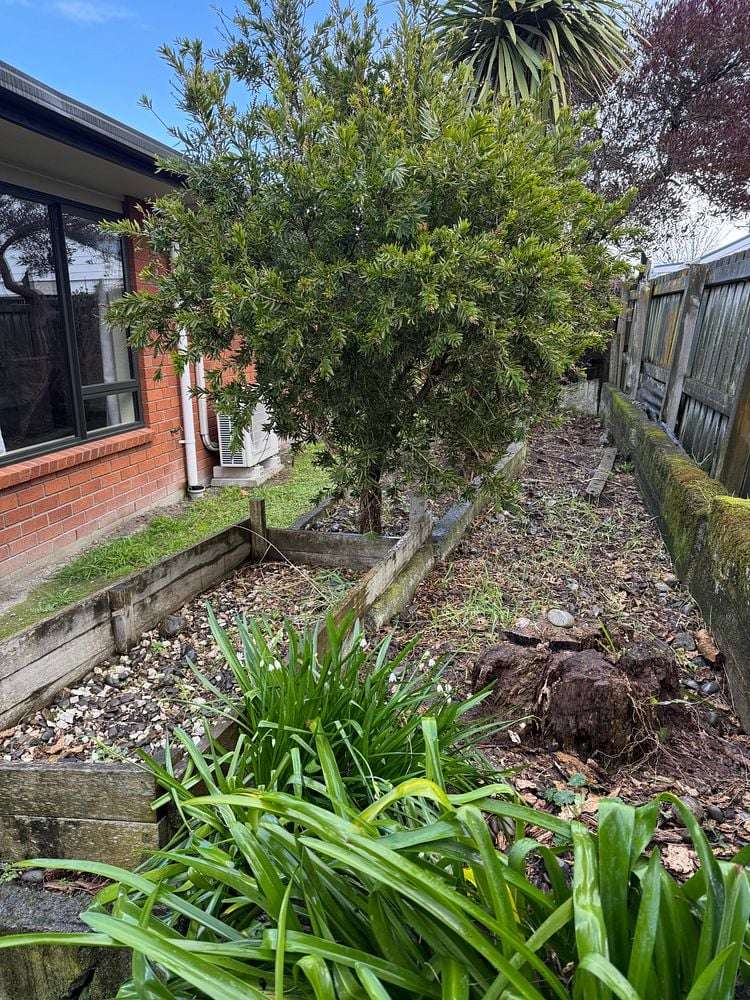 74C Perry Street Masterton_23