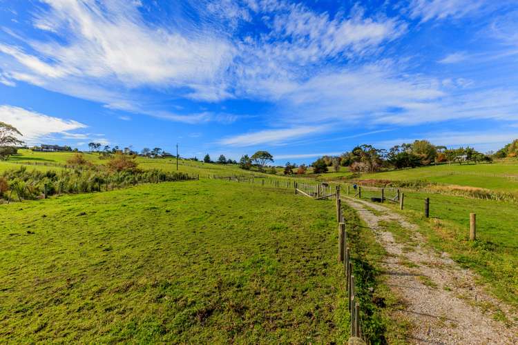 53 Follies Way Dairy Flat_11