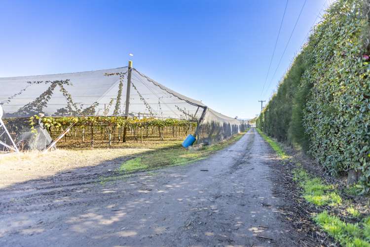 71 Franklin Road Central Hawkes Bay Coastal_9