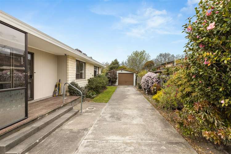 8 Owen Place Springlands_15