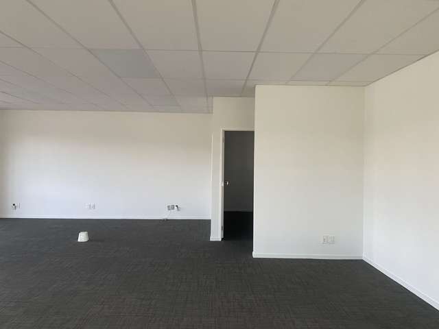 215 Rosedale Road Albany_3