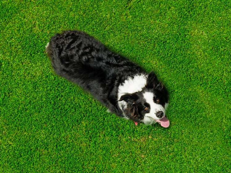 158 McLeod Road South Head_1