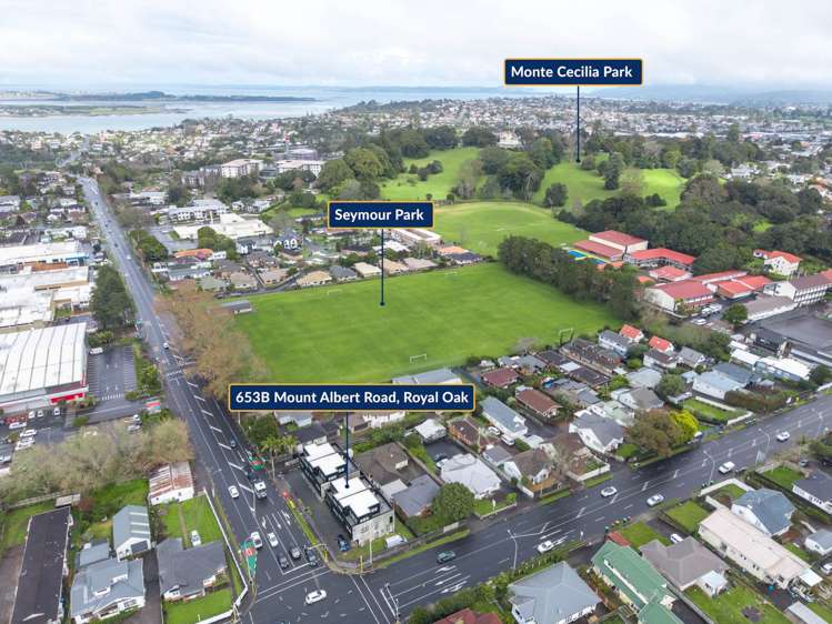 653B Mt Albert Road Royal Oak_12