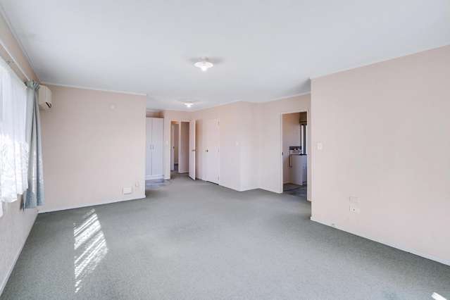 19A Anzac Avenue Morrinsville_3