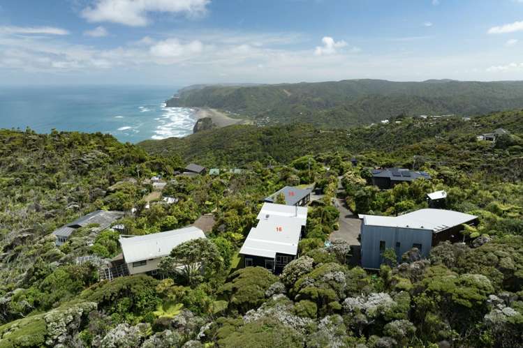 16 Log Race Road Piha_17