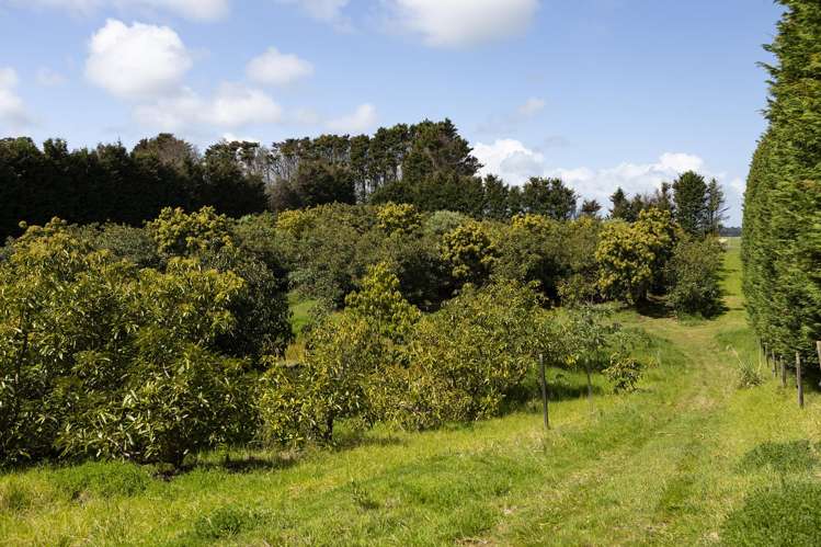 Lot Lot 8/27 Turk Valley Rd Pukenui_20