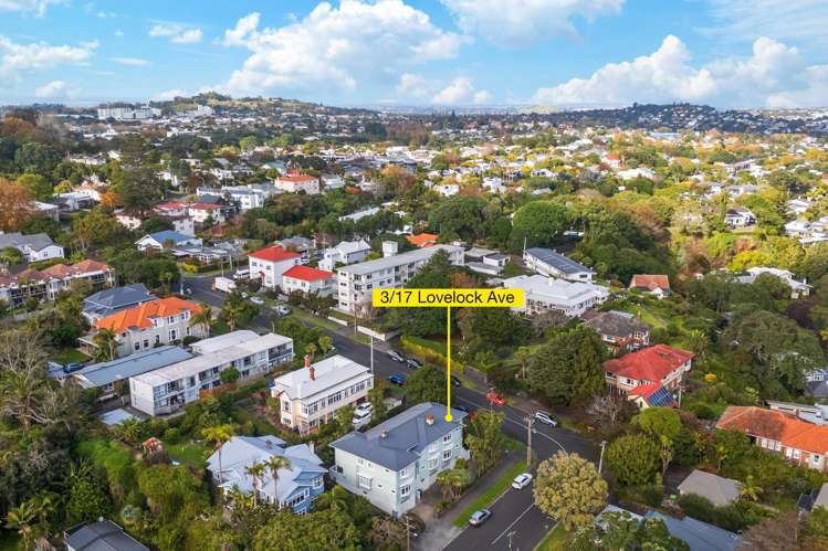 3/17 Lovelock Avenue Mount Eden_25