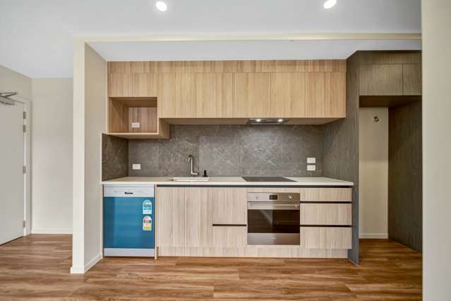 103/3 Newelm Lane Flat Bush_3