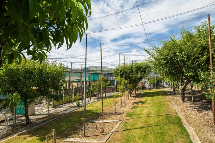 7418 State Highway 1 Ward_17