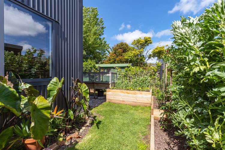 11 Citrus Place Mangawhai_15