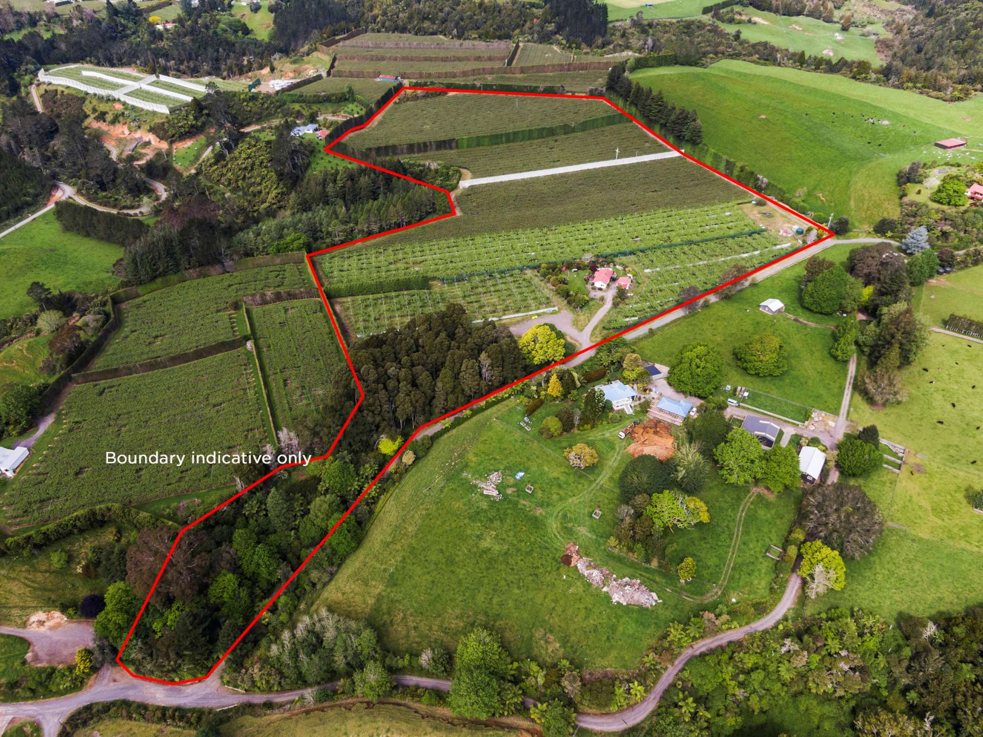 1399A No 3 Road Te Puke Western Bay Of Plenty Rural Property For