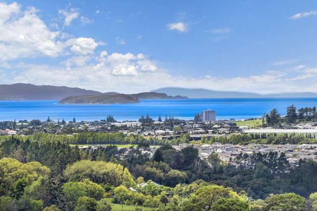 202 Kahikatea Flat Road Dairy Flat_4