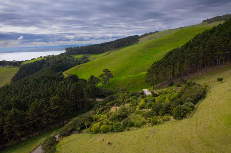 Whaanga Road Raglan_7