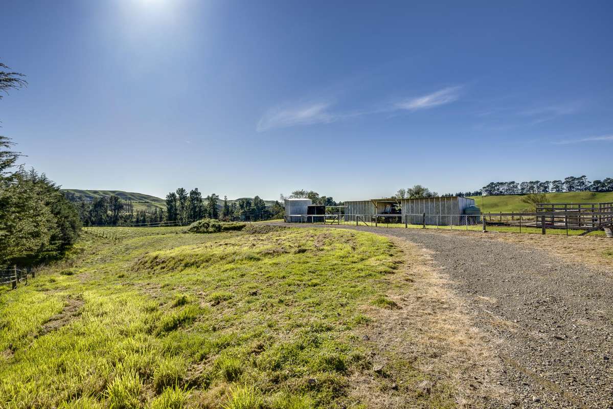 1401 Kereru Road_4