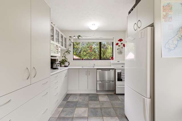 47A Douglas Road Amberley_3