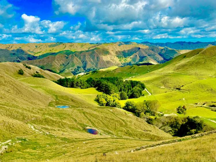 2559 Parapara Road, SH 4 Raetihi Ruapehu Rural Property For Sale