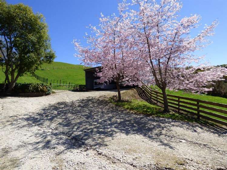 40 Ototoika Road Te Kuiti_14
