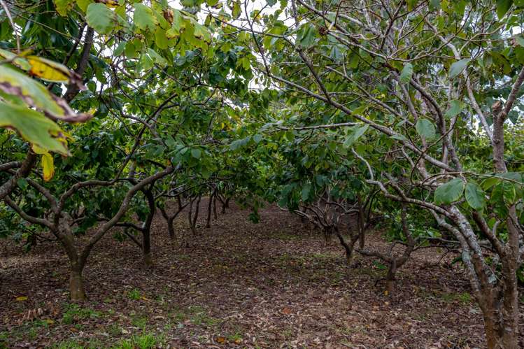 309A Larmer Road Kaitaia_23