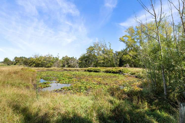 347a Black Swamp Road Mangawhai_25