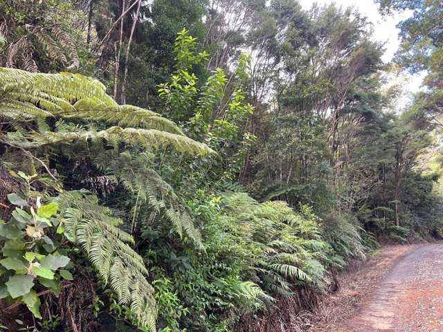 Lot 4 Gates Way Totara North_4