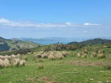928 Kuaotunu-Wharekaho Road_1