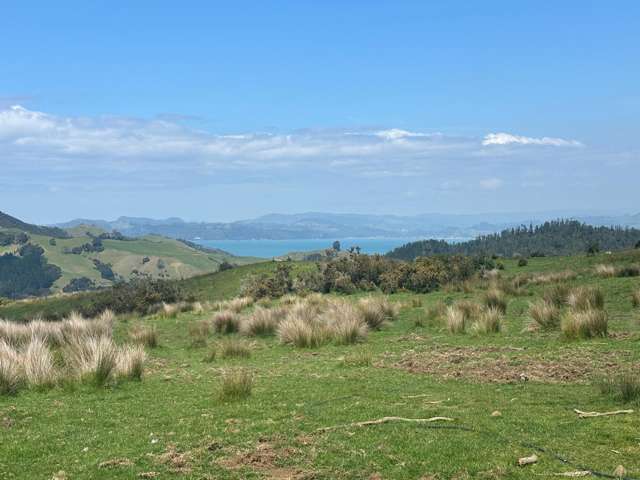 928 Kuaotunu-Wharekaho Road Wharekaho_1