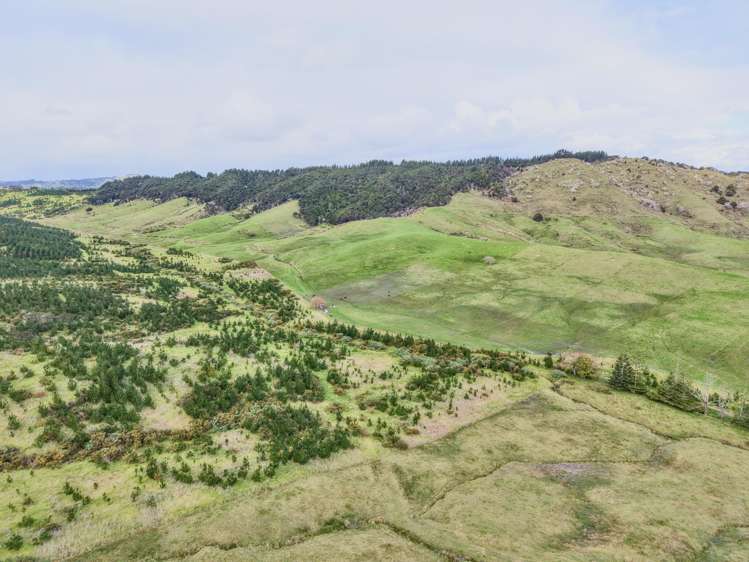 Lot 1-3 36 Te Moho Road Taipa_40