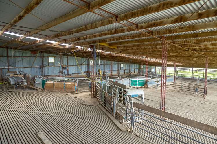 1091 Kopikopiko Road Eketahuna_6