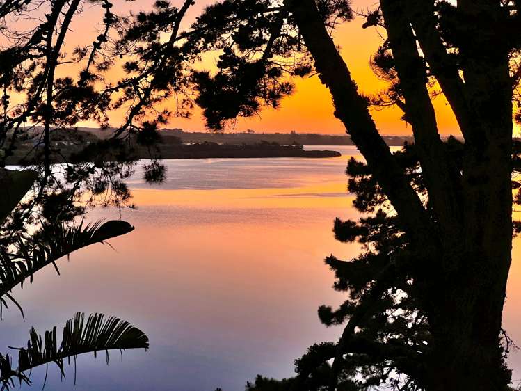 20 Cade Place Manurewa_9