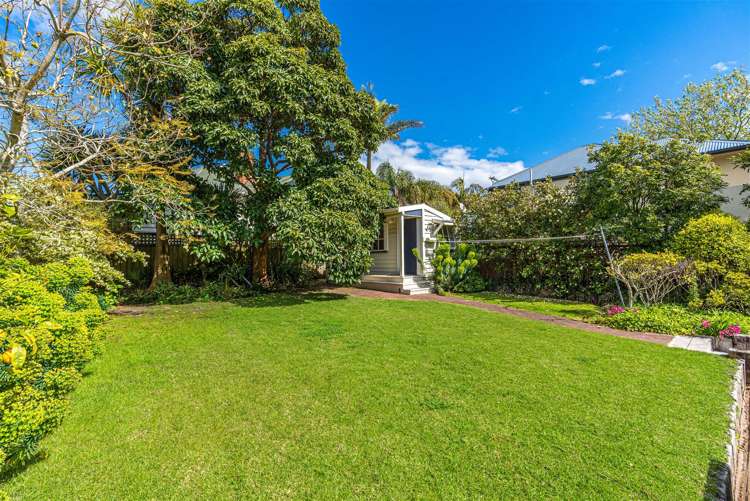 3 Turnbull Road Narrow Neck_10