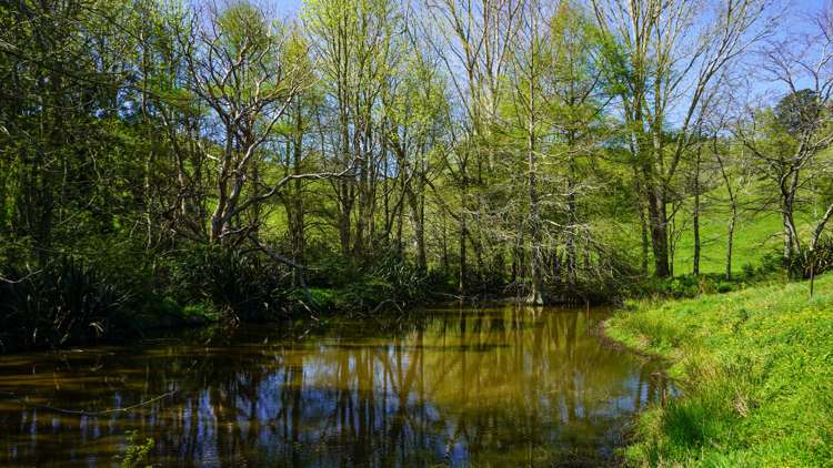 56 Maratoto Road Hikutaia_14