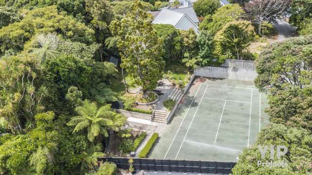 Dream Home or Develop? YIP!