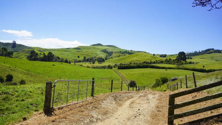 729 Waihi Whangamata Road Waihi_15