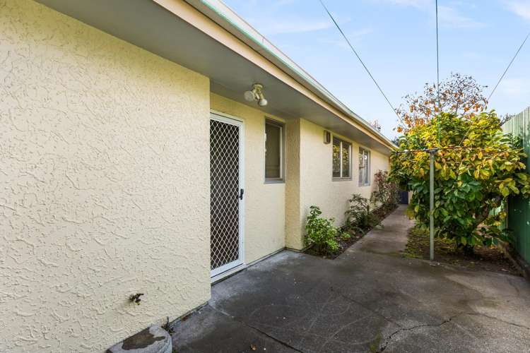 2/50A Vigor Brown Street Napier South_13
